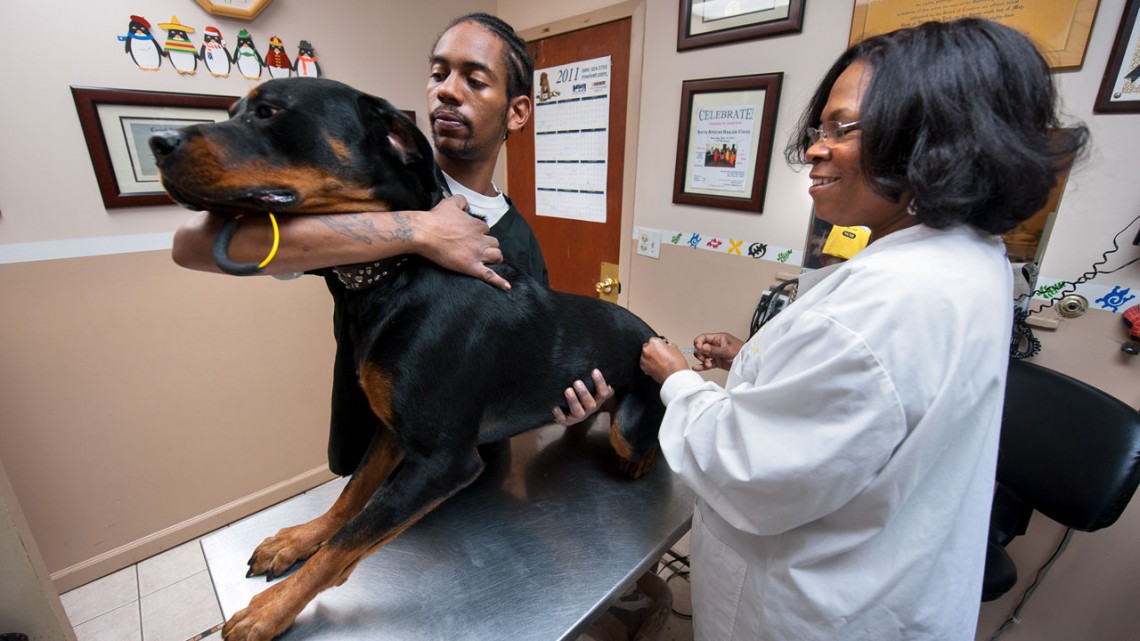 COVID-19 takes the life of a Harlem veterinarian | Cornell Chronicle