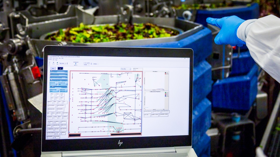 A spinach weigher in a fresh-cut produce facility that has a ‘digital twin.’