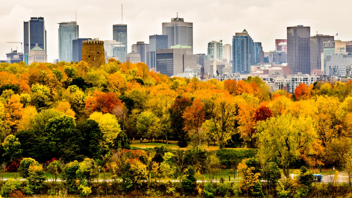Metropolitan skyline with trees in fall colors in foreground
