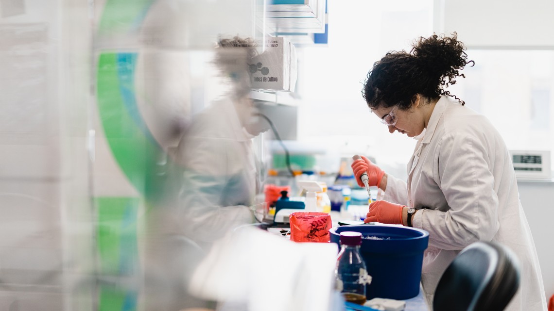 a young researcher working in a lab