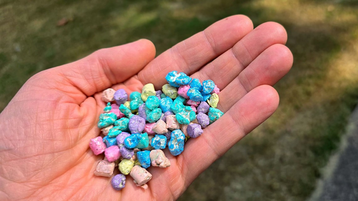 Multiseed pellets allow farmers to use corn planting machines to plant milkweed and wildflowers.