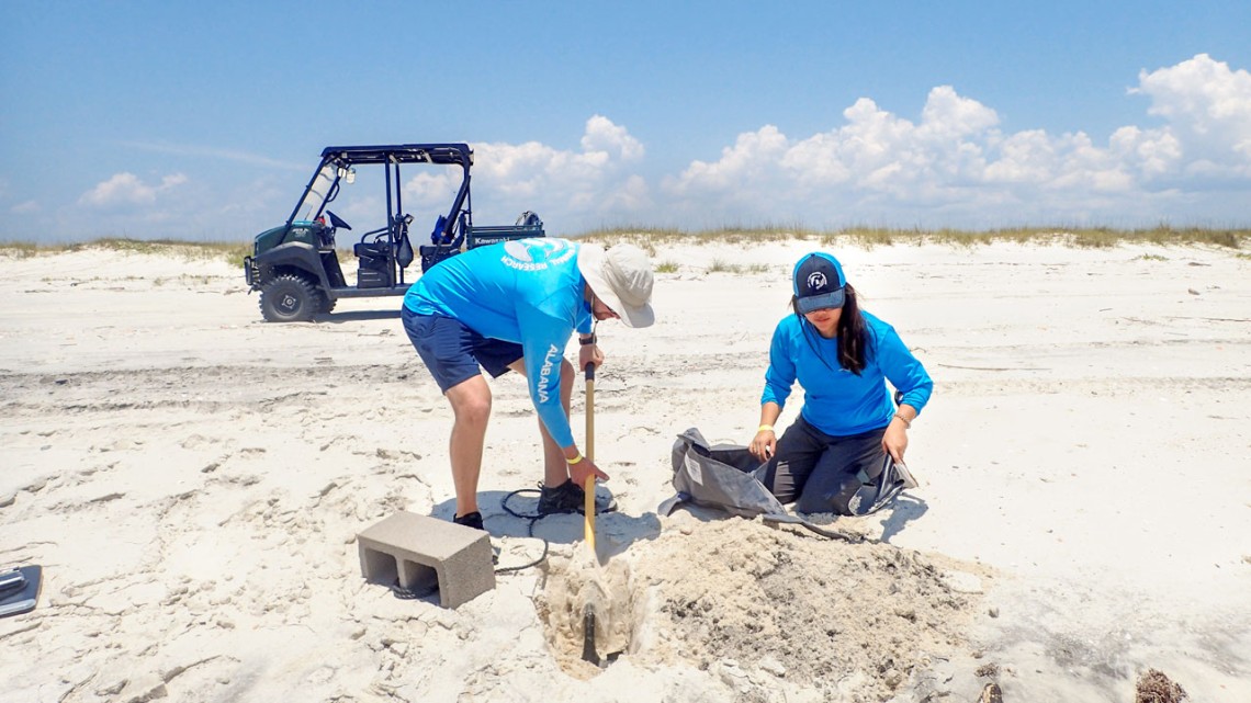 Staff at the Dauphin Island Sea Lab fill a dolphin decoy with sand.