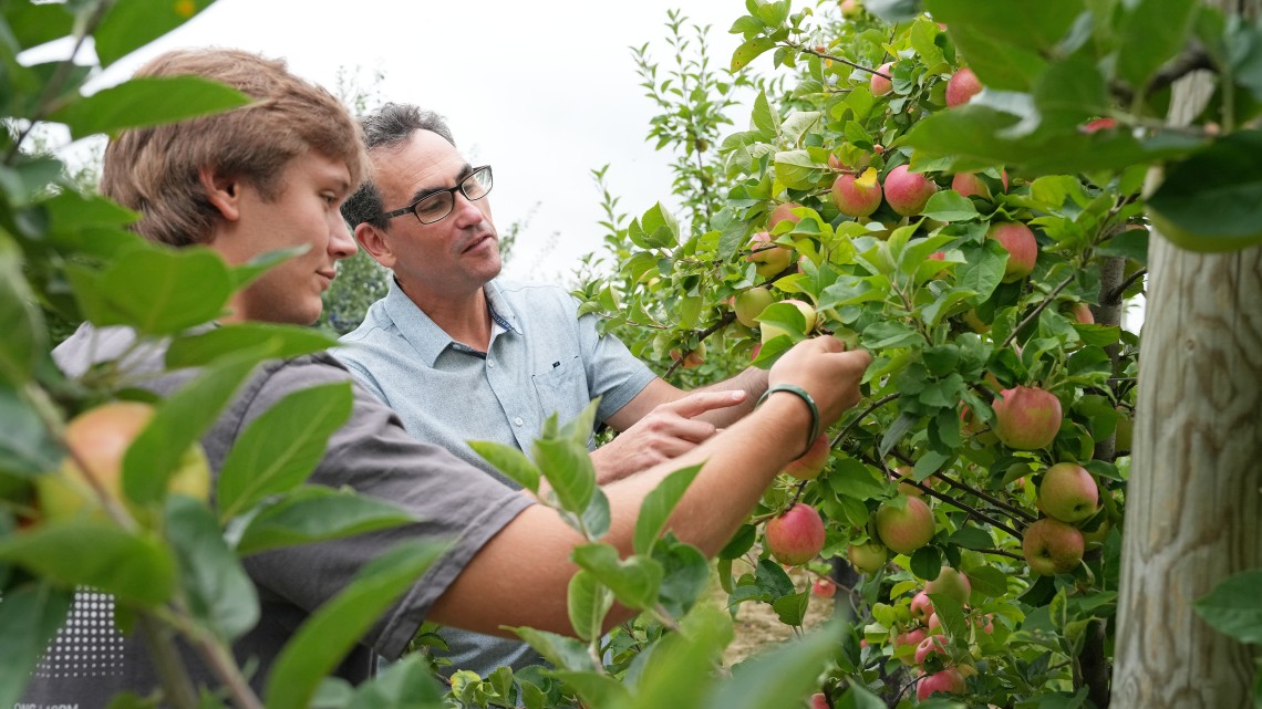 instructor and student examining apples in an orchard