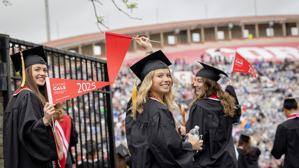 Graduates from the College of Agriculture and Life Sciences enter Schoellkopf Field.