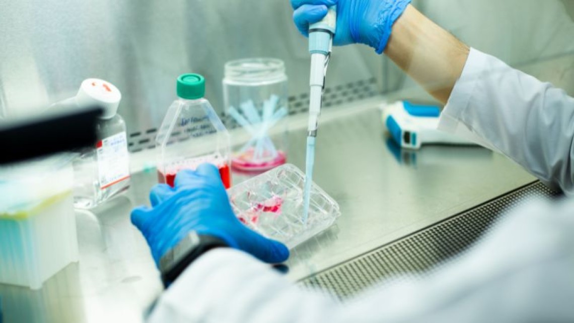 person pipetting in a fume hood