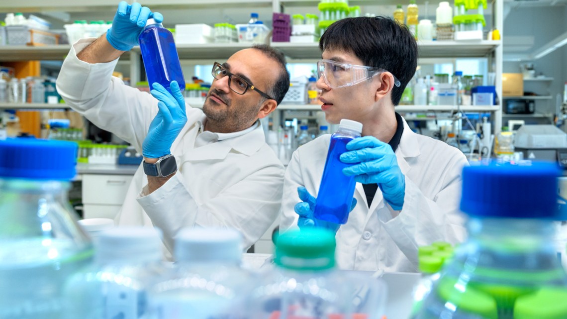 Alireza Abbaspourrad, left, the Yongkeun Joh Associate Professor of Food Chemistry and Ingredient Technology, and Qike Li work in Abbaspourrad’s lab.