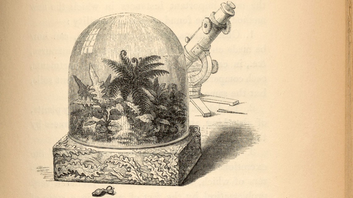 Illustration of a Wardian case used for transporting plants, from a page in Nathaniel Bagshaw Ward’s treatise, “On the Growth of Plants in Closely Glazed Cases,” published in 1842.