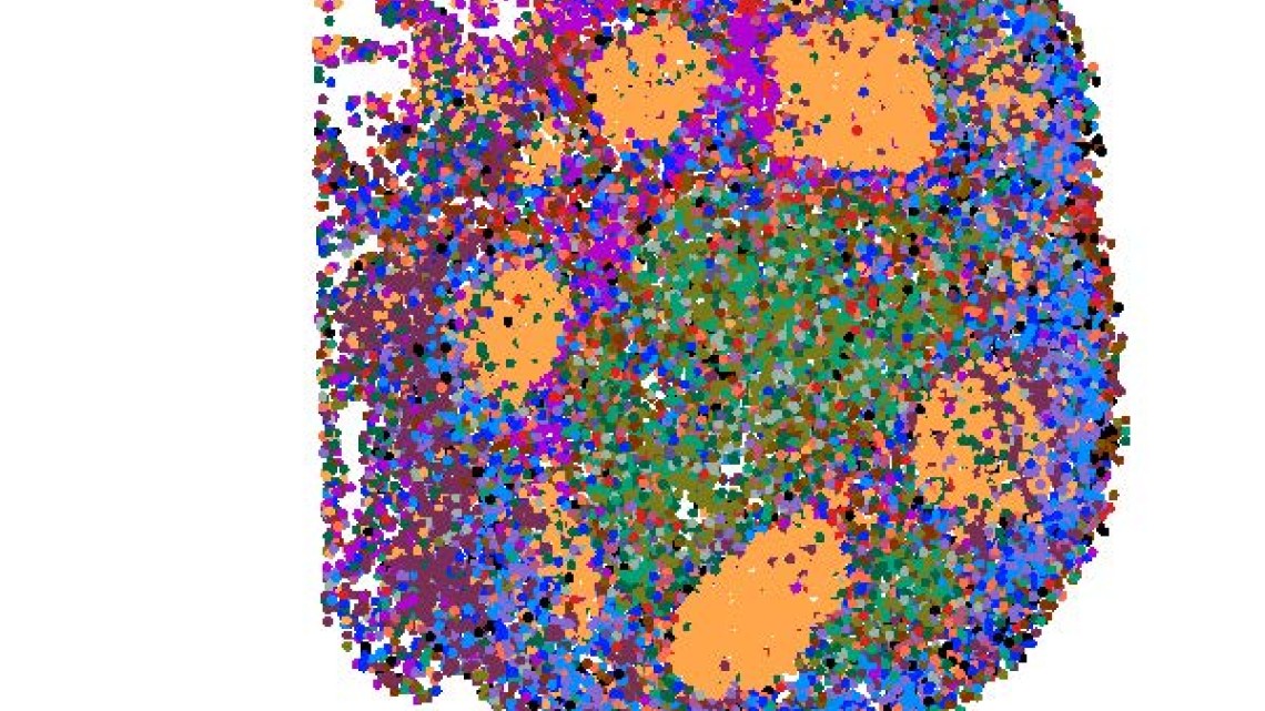 Colorful scientific rendering of a lymph node