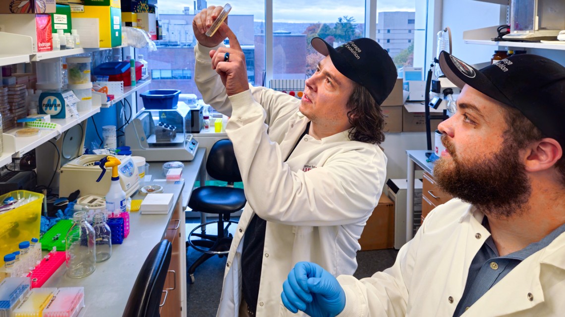 Bryce Brownfield, Ph.D. ’23 (left) and Cameron Kitzinger ’22 work in their lab for Forage Evolution, which was recently admitted into Cornell’s Center for Life Science Ventures incubator.