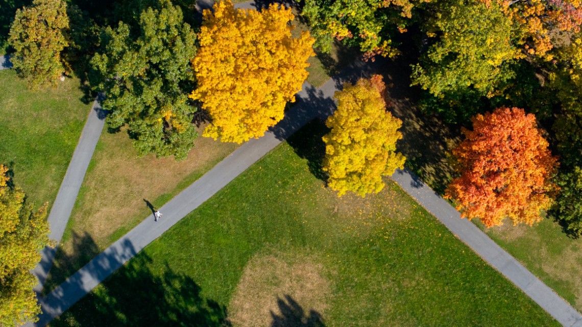 aerial view of the CALS ag quad