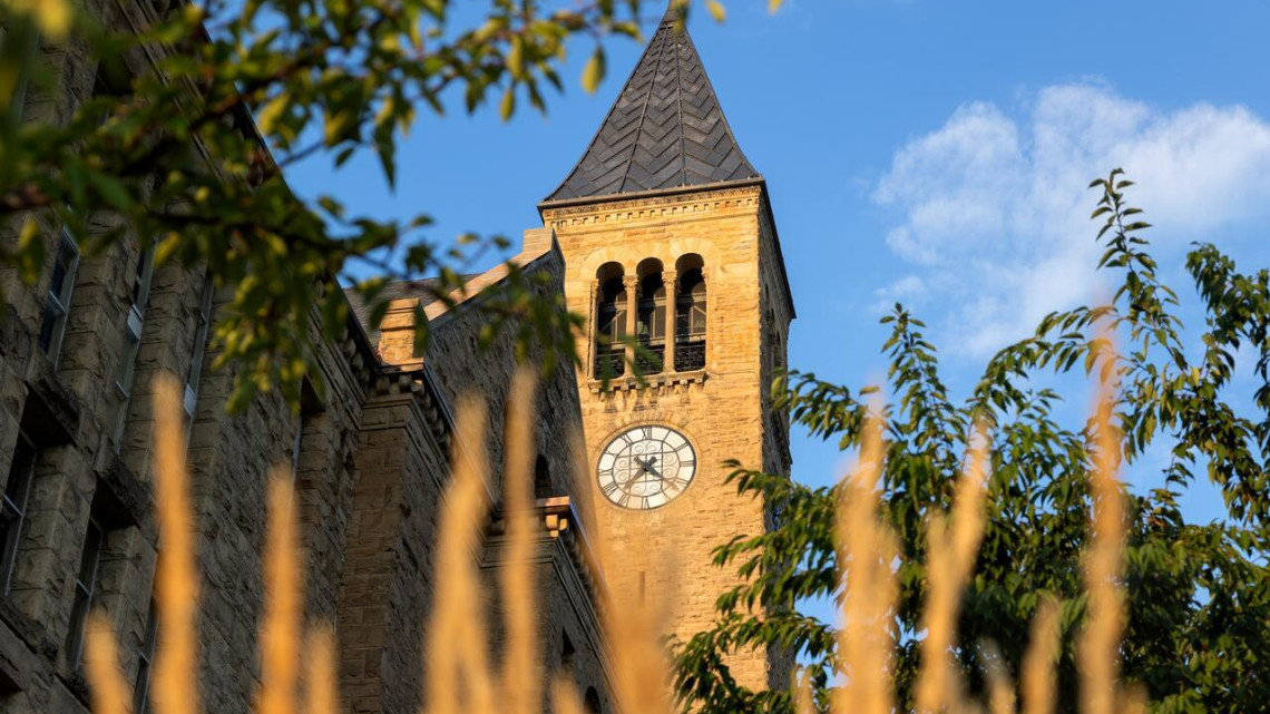 McGraw Tower and Uris Library in the summer with vegetation in the foreground