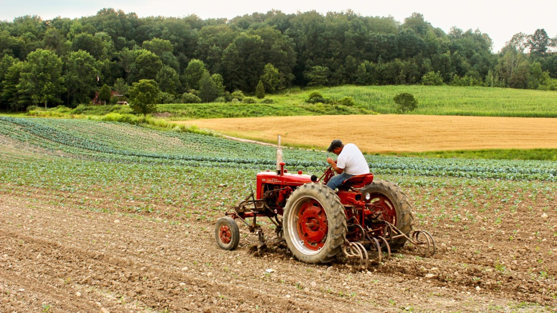 In an in-depth interview with Cornell researchers, a New York farmer explained how cost-share programs offset the increased labor associated with planting cover crops, which help reduce soil erosion on his sloping fields.