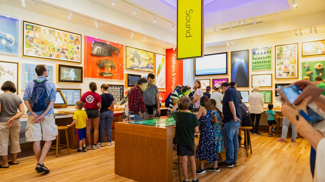 Visitors exploring the interactive space at the Cornell Lab of Ornithology