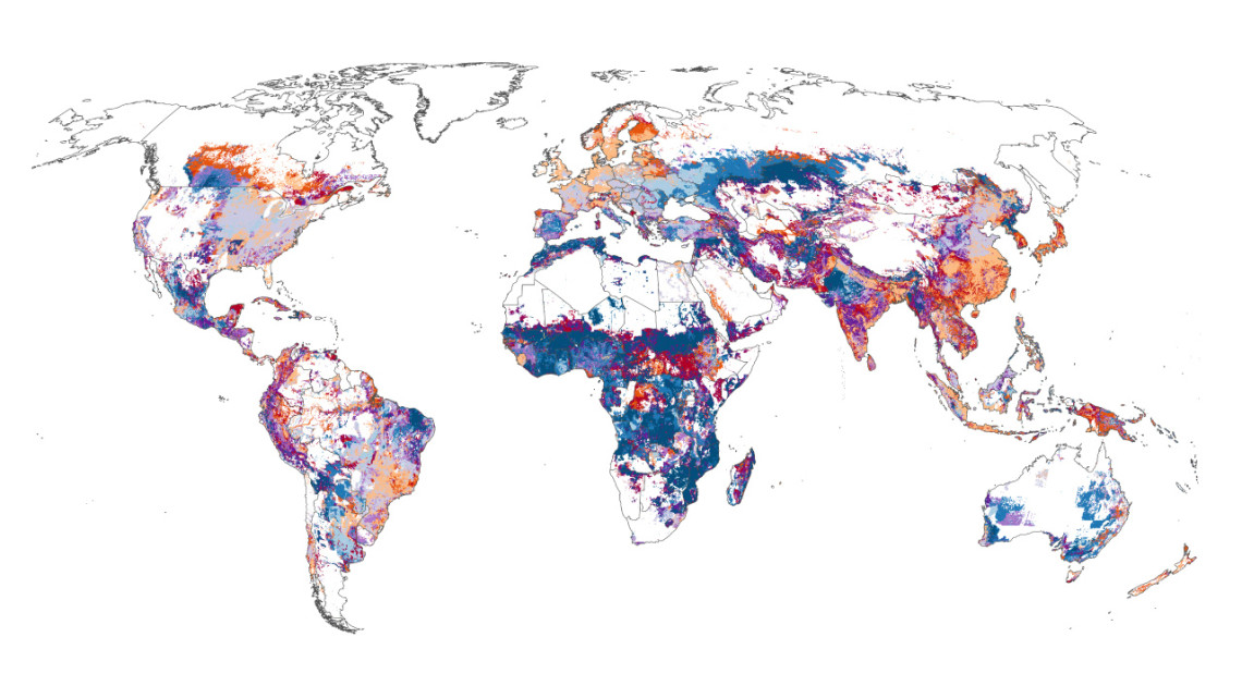Cornell researchers synthesized data from multiple ground sources and models to map global cropland emissions at high resolution – down to about 10 kilometers.
