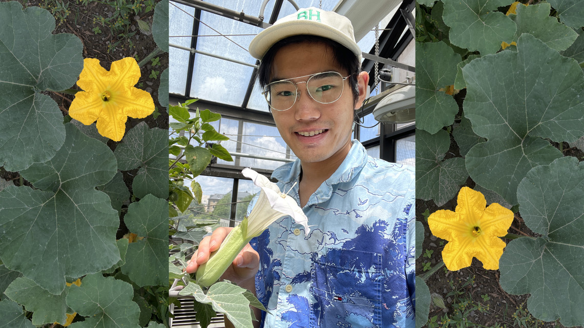 Jonathan Chai with Datura and squash flowers