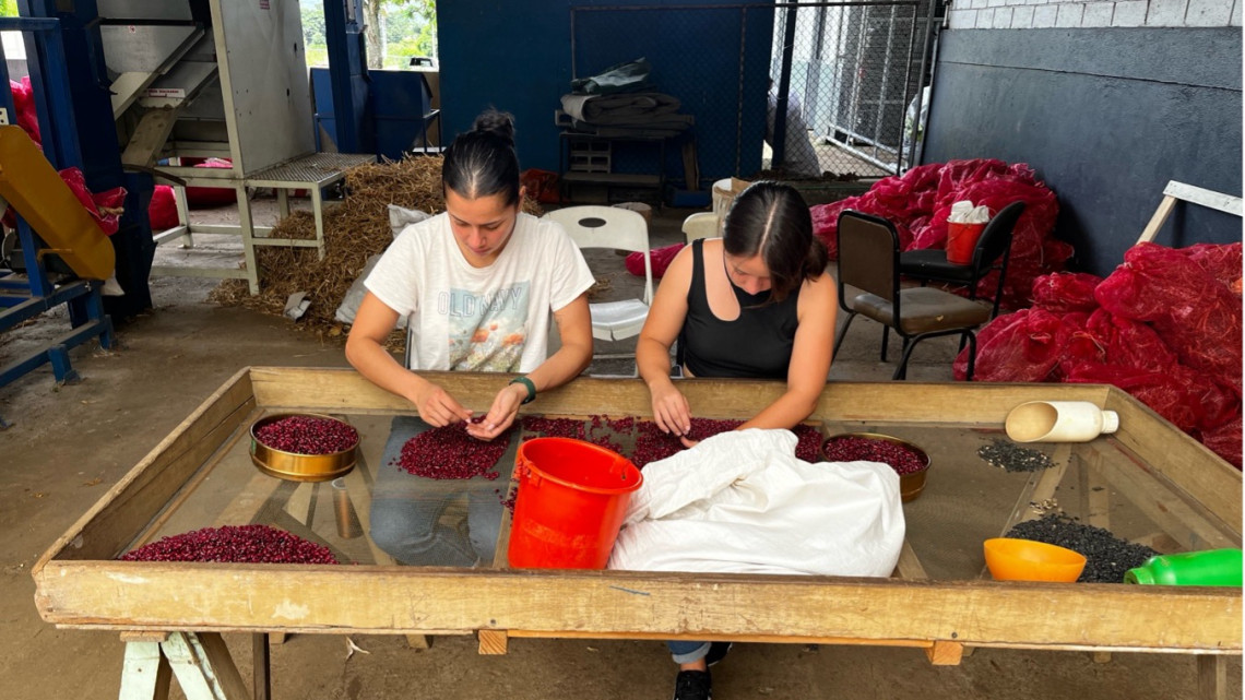 Yoselyn Hernández Chaves and a helper sort red beans by color and brightness.