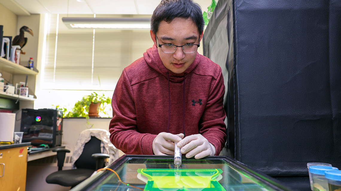 Yicong Fu, mechanical engineering doctoral student, injects dye into his custom-built, bio-inspired thermal dispenser to observe how particles disperse.