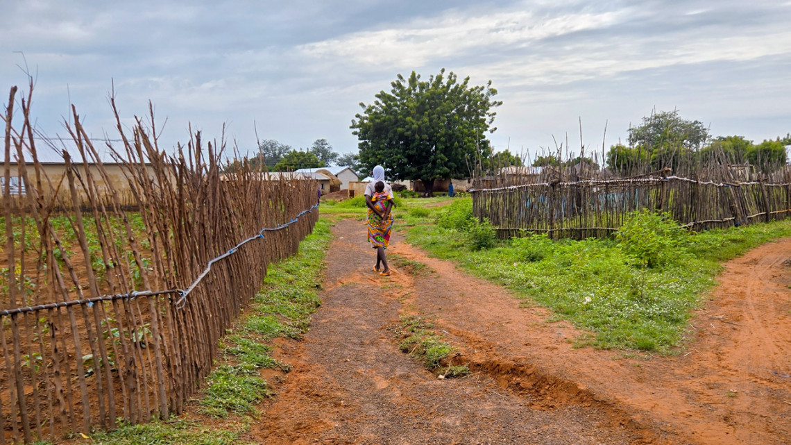 A woman with a child on her back walks down a dirt path, facing away from the camera.
