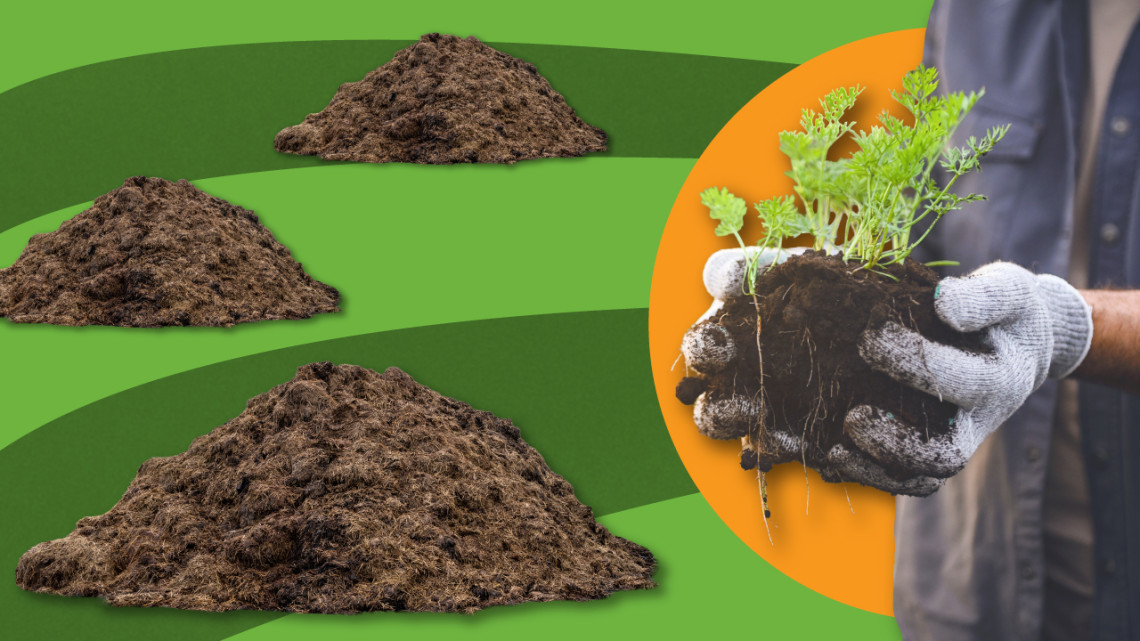 Illustration of three piles of manure with a photo of a gardener with soil in their hands