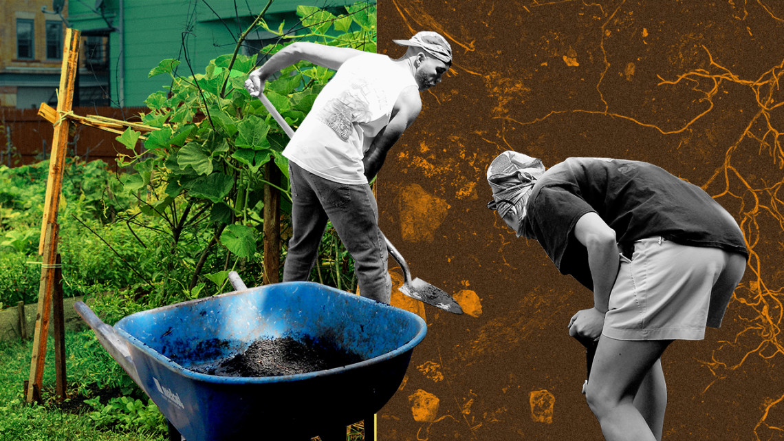 Illustration of two people working on a garden with shovels and a wheelbarrow 