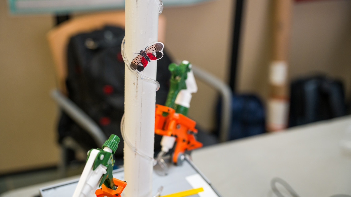 lanternfly stick on a white tube