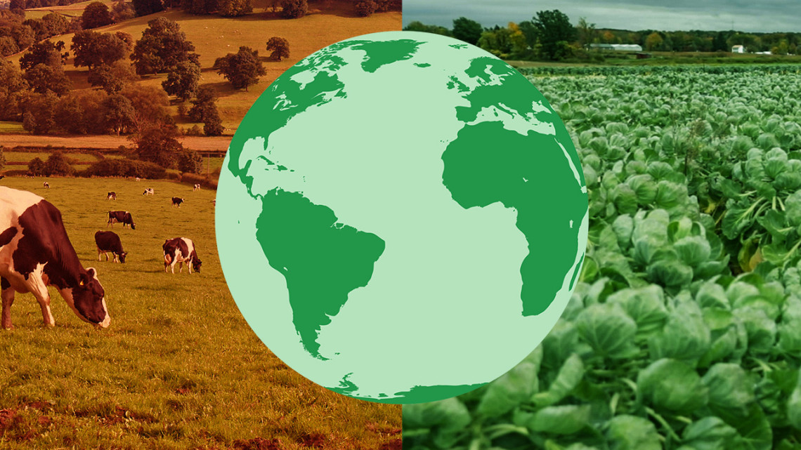 Illustration of the Earth in green with photo of cows grazing on the left side and crops on the right side