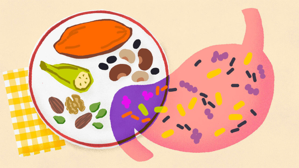 Illustration of a plate of food on a table with an image of an intestine overlapping