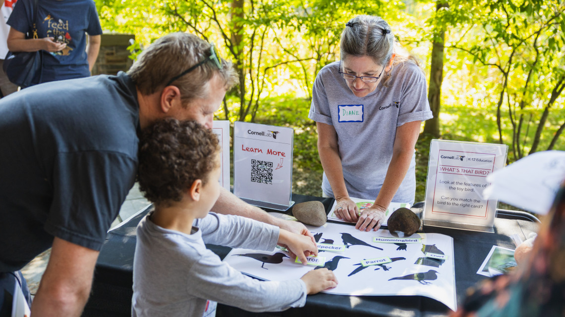 Adult and child matching bird images with names at migration celebration