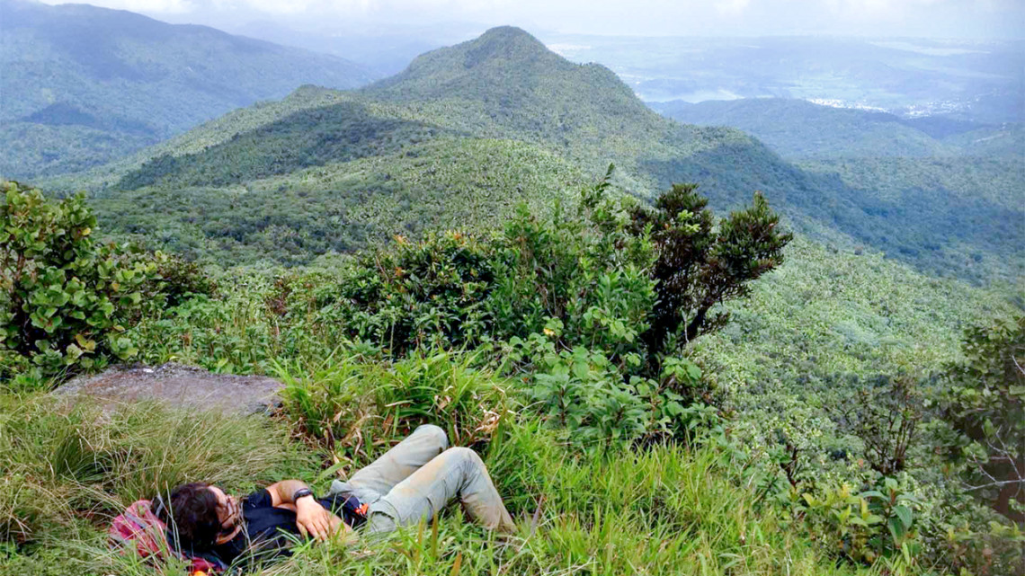 El Toro Mountain in Puerto Rico’s El Yunque National Forest.