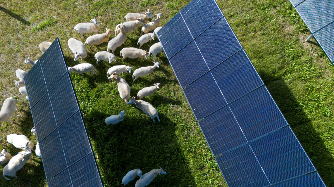 A solar farm in Lansing, New York.