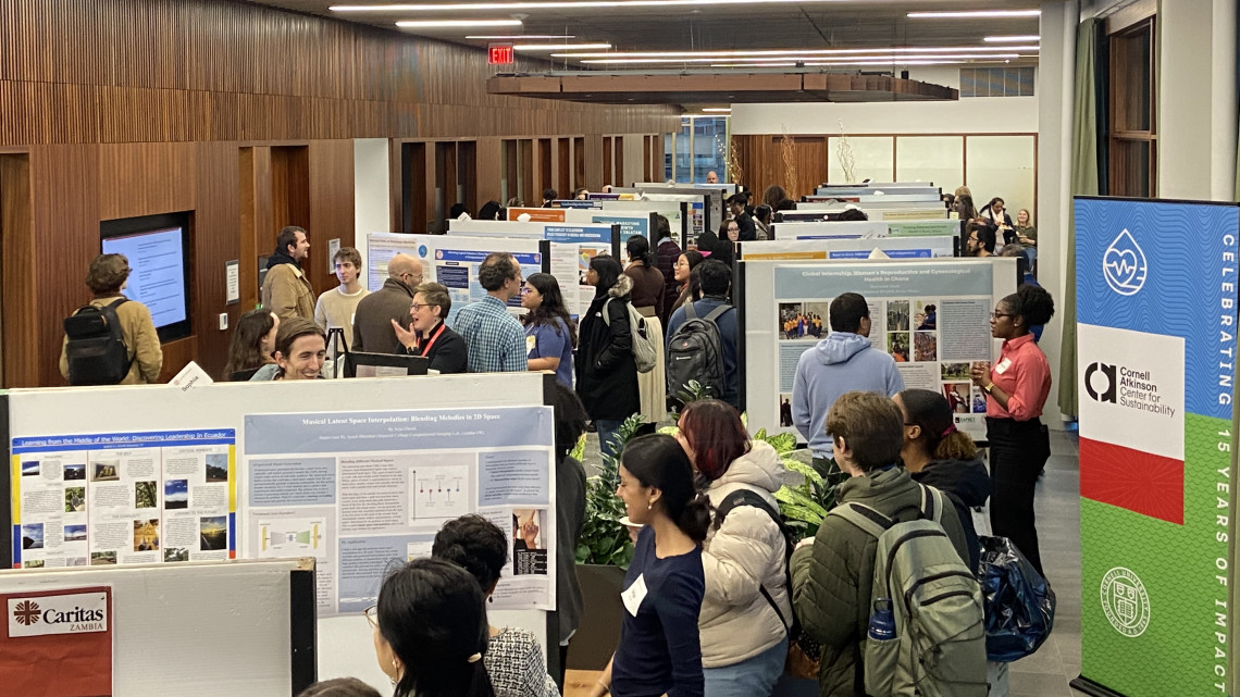 Undergraduate students present their work at a poster showcase.