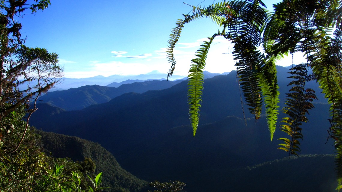 Western flank of the Andes Mountains in Ecuador, courtesy Eliot Miller.