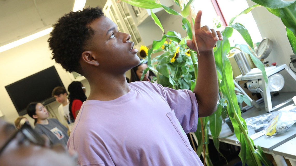 image of student examining plant