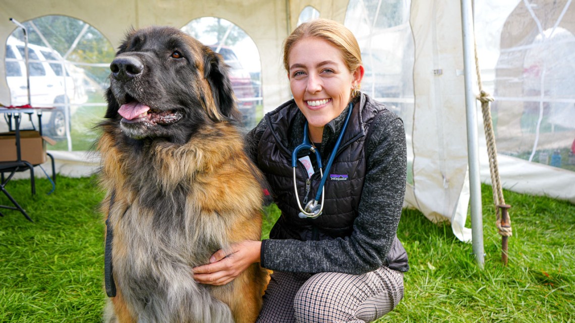 Third-year veterinary student Hannah Flamme poses with a Leonberger at the 36th annual Wine Country Circuit Dog Show.
