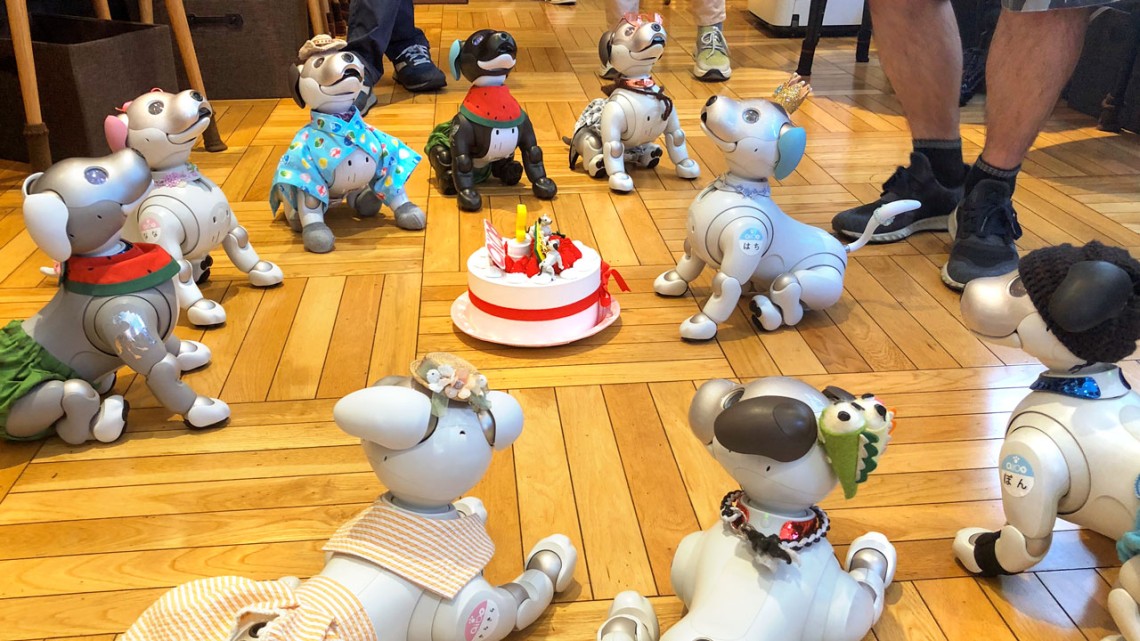 Sony aibo ERS-1000 robots and their human owners celebrate a birthday.