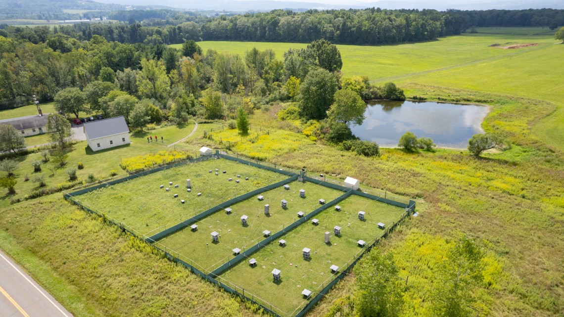 Green field and a pond seen from above, containing three enclosures studded with small rectangular structures