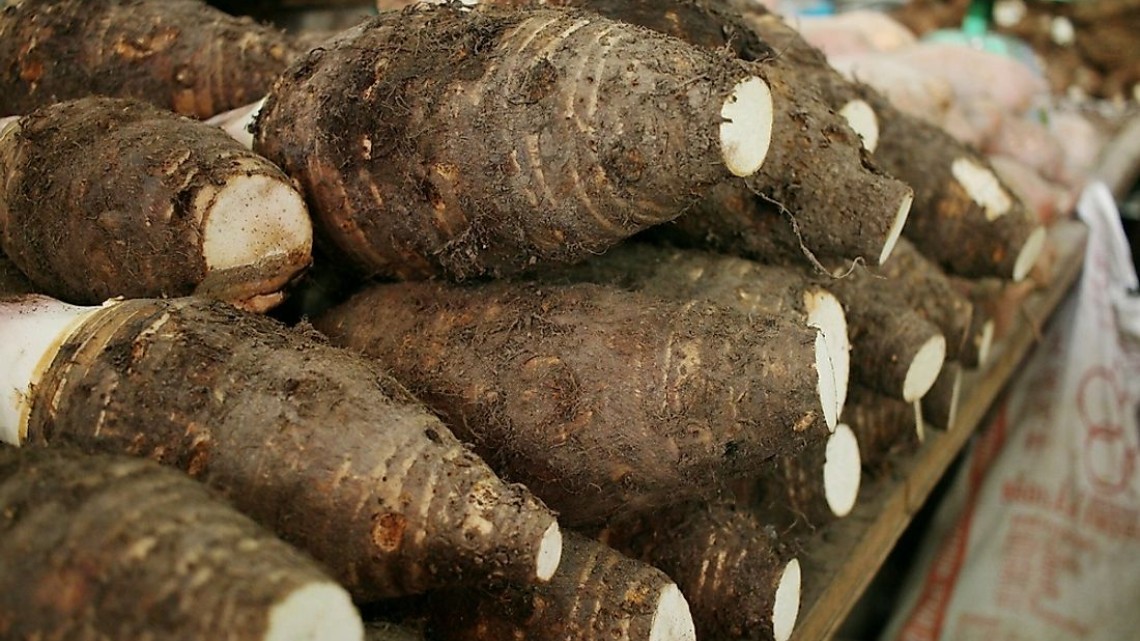 photo of taro stacked in a grocery aisle