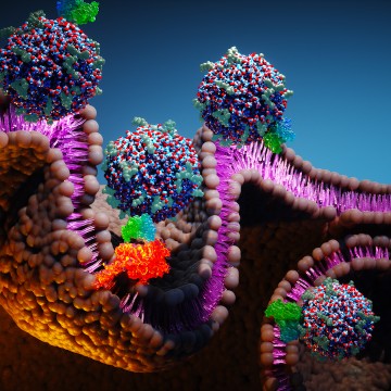 c' dots illustration