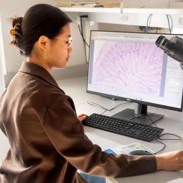 Melissa Huang, doctoral student in the field of food science, examines a cross section of an embryonic chicken’s small intestine in a Stocking Hall lab.