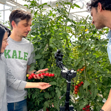 Cornell researchers stand with an autonomous biosecurity system in a tomato greenhouse