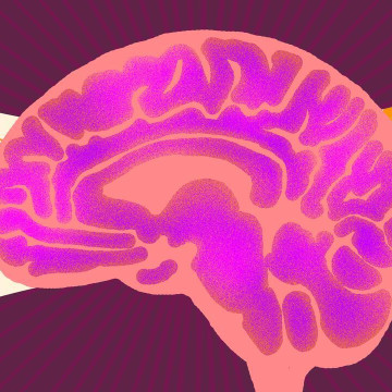 Illustration of a brain in the color of pink surrounded by molecules