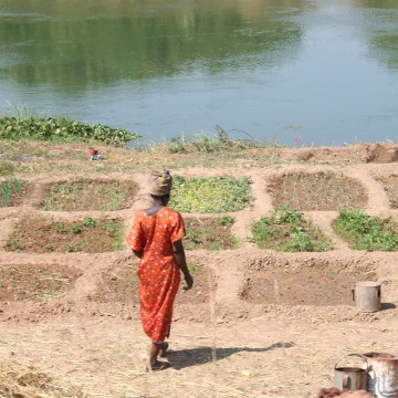 Female African farmer walks in field