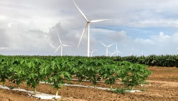 Puerto Rico wind farm