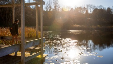 Afternoon sun warms the pergola on Houston Pond at FR Newman Arboretum. 