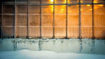 Writing on the windows of a greenhouse building along Tower Road reflects the sentiment of the season.
