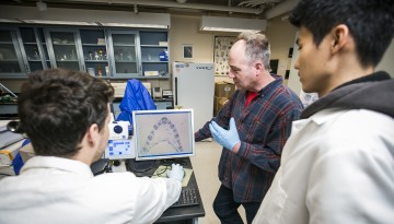 Three male researchers look at maize tissue on a computer