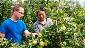 a male and female graduate student look at apple trees