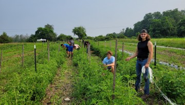 Students work on a farm