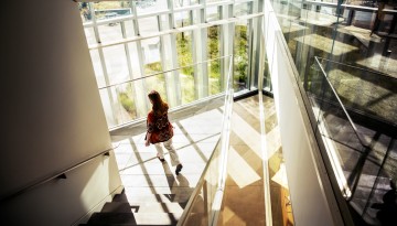 Afternoon light fills the stairwell of Schurman Hall at the College of Veterinary Medicine.