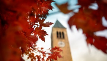 McGraw Tower is surrounded by autumn leaves.